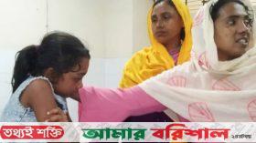 বরগুনায় এক দিনে কুকুরের কামড়ে আহত ২৭, ভ্যাকসিন নেই হাসপাতালে