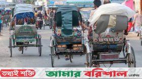 ব্যাটারিচালিত রিকশা বন্ধের আদেশের বিরুদ্ধে আপিল করবে রাষ্ট্রপক্ষ