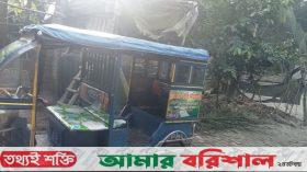 বরিশালে রিকশা ও ইজিবাইকের ব্যাটারি চুরির হিড়িক