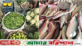 সবজি-পেঁয়াজের দাম কমেছে, নাগালে আসছে নতুন আলুও