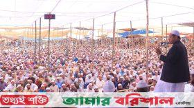 দেশে হিন্দুরা মায়ের কোলের মতো আছেন: চরমোনাই পীর