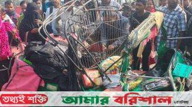 বাস-অটোরিকশার মুখোমুখি সংঘর্ষ, নারীসহ নিহত ৫