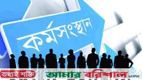 প্রকল্পে বিনিয়োগ কাটছাঁট, রাজস্ব ও কর্মসংস্থানে প্রভাব