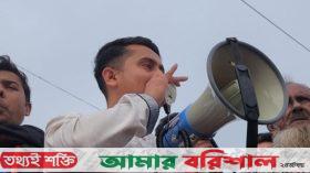 মার্চ ফর ফেলানী, নেতৃত্ব দেবেন সারজিস আলম