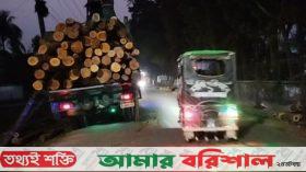 মহাসড়কের দুই পাশ দখল করে রমরমা বাণিজ্য