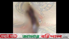 বরিশালে দীঘি থেকে ফের মানুষের শরীরের খণ্ডিত অংশ উদ্ধার