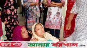 বরগুনায় বাস-মাহিন্দ্রার মুখোমুখি সংঘর্ষে নানা-নাতিসহ তিনজন নিহত