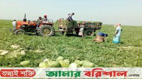 ভোক্তা পর্যায়ে চারগুণ দামে বিক্রি হচ্ছে তরমুজ