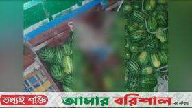 পটুয়াখালীতে নদীতে ডাকাতের কবলে তরমুজবাহী ট্রলার, আহত ৯