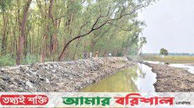 সংরক্ষিত বনে বনখেকোদের থাবা