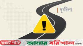 পিরোজপুরে ব্যাটারিচালিত ভ্যানের ধাক্কায় ইমাম নিহত
