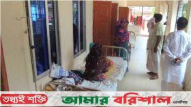 কলাপাড়ায় ব্ল্যাকমেইল করে ভাবিকে ধর্ষণের অভিযোগ