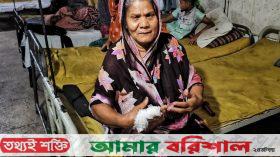 মাকে কুপিয়ে জখমের অভিযোগে ছেলের বিরুদ্ধে মামলা