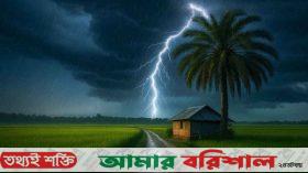 মায়ের সামনে বজ্রপাতে প্রাণ গেল ছেলের