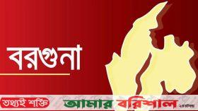 বরগুনায় পিকআপ ভ্যানচাপায় নারী নিহত