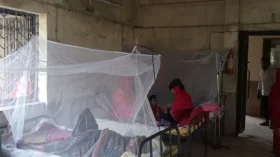ডেঙ্গুর প্রভাবে অস্থির আমতলী, আক্রান্তের সংখ্যা বাড়ছে