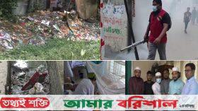 মশার যন্ত্রণায় অতিষ্ঠ বরিশালবাসী