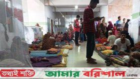 বরগুনায় ডেঙ্গুতে নারীর মৃত্যু, নতুন ভর্তি ৮১