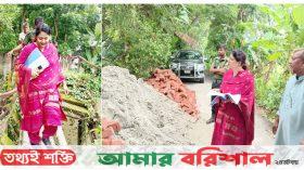 বরিশালে মাঠ প্রশাসন সামলাচ্ছেন নারী ইউএনওরা