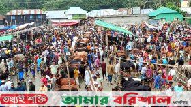 পিরোজপুরে পশুর হাটে উপচে পড়া ভিড়, নেই কাঙ্ক্ষিত ক্রেতা