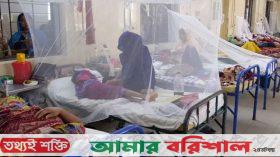 ডেঙ্গু আতঙ্কে পটুয়াখালী, হাসপাতালগুলোতে রোগীর ভিড়