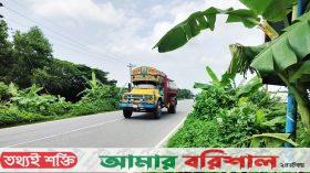 মহাসড়কের ফুটপাতজুড়ে ঝোপঝাড়, পথচারীদের ঝুঁকি নিয়ে চলাচল