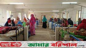 গলাচিপায় ডেঙ্গু জ্বরে এসএসসি পরীক্ষার্থীর মৃত্যু