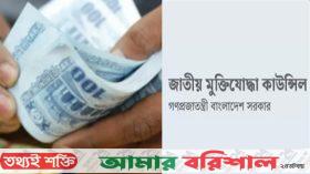 দেশে ৯০ হাজার ভুয়া মুক্তিযোদ্ধা, ভাতা নিচ্ছে ২৪০০ কোটি টাকা