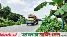 মহাসড়কের ফুটপাত জুড়ে ঝোপঝাড়, ঝুঁকি নিয়ে চলাচল