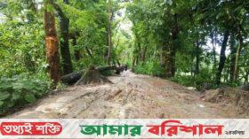 তিন যুগেও কাঁচা সড়কে লাগেনি উন্নয়নের ছোঁয়া, চরম ভোগান্তি