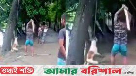 বরিশালে মধ্যযুগীয় কায়দায় কুকুর হত্যা