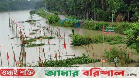 বরগুনায় মা মাছ রক্ষায় অভয়াশ্রম, বেড়েছে দেশীয় মাছ