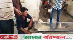 নেছারাবাদে সড়ক দুর্ঘটনায় বৃদ্ধ নিহত