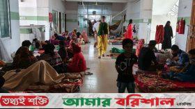 বরগুনায় ভয়াবহ রূপ নিচ্ছে ডেঙ্গু, থামছে না মৃত্যুর মিছিল