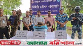 পাথরঘাটায় ৪ লাখ ১৩ হাজার টাকার মাদক ধ্বংস