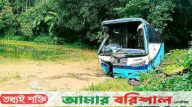 ঘুমে ঢুলে পড়া চালকের গাড়ি সোজা বিলে, আহত ২০ যাত্রী