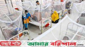 নীরবে ছড়িয়ে পড়ছে ডেঙ্গু, ভয়াবহ বিপদ দেখছেন বিশেষজ্ঞরা