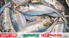 পূজায় ইলিশ চেয়ে বাংলাদেশকে চিঠি দিল ভারত