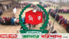 স্থানীয় সরকার নির্বাচনে থাকছে না দলীয় প্রতীক