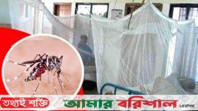 সারাদেশে ডেঙ্গুতে হাসপাতালে ভর্তি রোগী ২১ হাজার