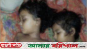 মেহেন্দিগঞ্জে পুকুরে ডুবে দুই বোনের মর্মান্তিক মৃত্যু