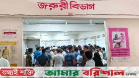 ভোলায় বিএনপির দুই নেতাকে কুপিয়ে জখম