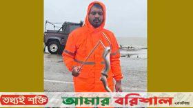 কুয়াকাটা সৈকতে ভেসে এলো বিরল প্রজাতির কাঁকড়া-ভুক পাইন্না সাপ 