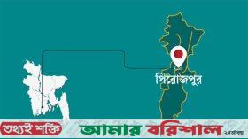 পিরোজপুরে বিদ্যালয়ের তিনতলা থেকে পড়ে গুরুতর আহত ছাত্রী
