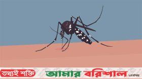 শেবাচিম হাসপাতালে ডেঙ্গুতে নারীর মৃত্যু