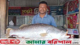 কুয়াকাটায় ৩৬ হাজারে বিক্রি ২৪ কেজির কোরাল