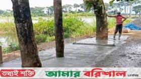 সড়কের মাঝখানে গাছ রেখেই ঢালাই সম্পন্ন