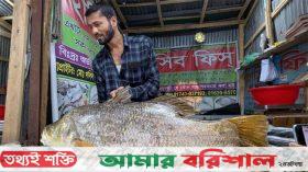 কুয়াকাটায় ২১ কেজির কোরাল, বিক্রি হলো ৩৫ হাজারে