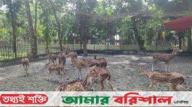 দুর্গাসাগর থেকে হরিণ নিখোঁজ : তদন্তে প্রশাসন ও পুলিশ