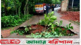 প্রবল বর্ষণে দুটি সড়কে ধ্বস